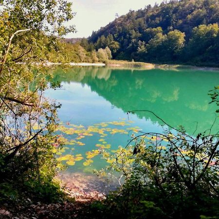 Artedimarco Lägenhet Terlago Exteriör bild