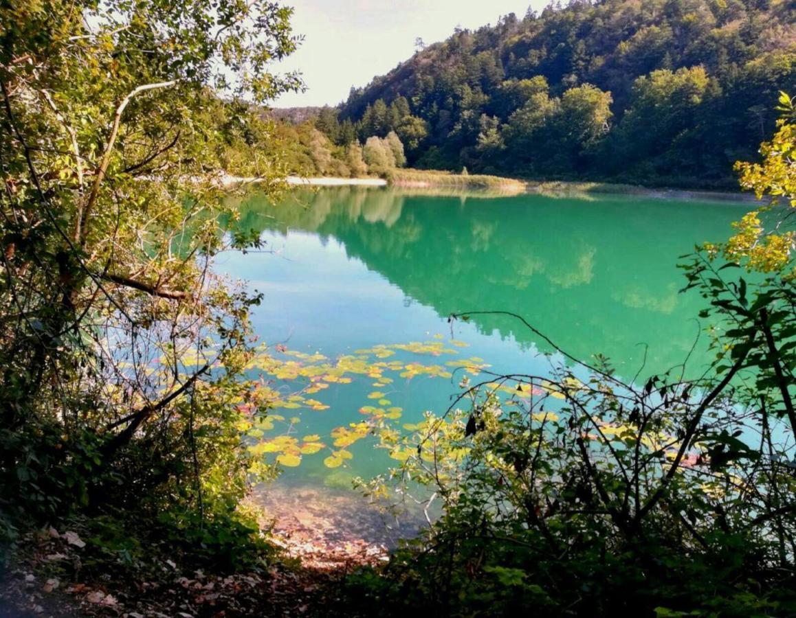 Artedimarco Lägenhet Terlago Exteriör bild